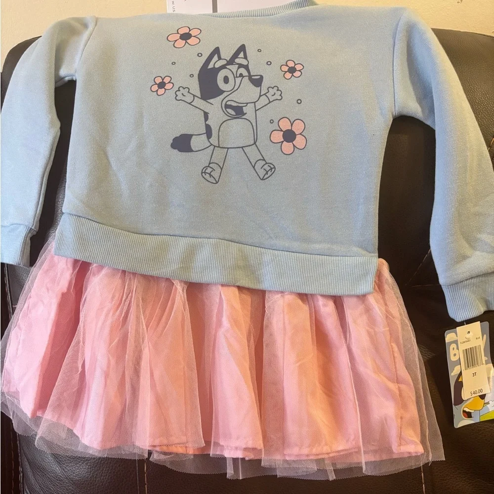 Blue and Pink Kids Dress